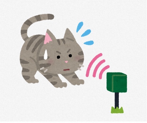  超音波発生器にびっくりする猫（イメージ画像）