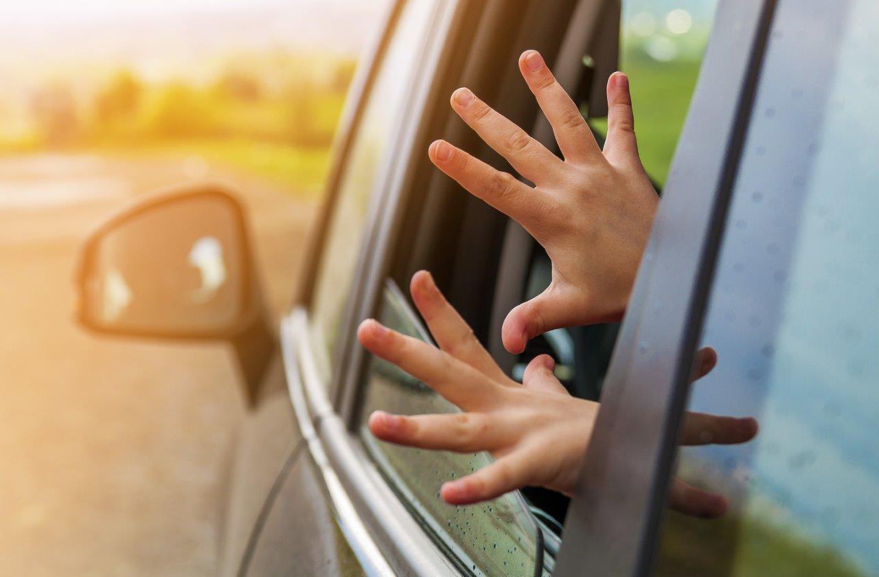 コロナ禍で窓開けの機会増加 注意 大根も切り落とすパワーウィンドウの危険性 自動車情報誌 ベストカー