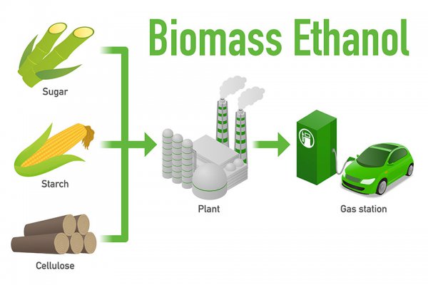 バイオエタノール燃料はさとうきびやとうもろこし、植物の繊維などから作られる（metamorworks-Stock.Adobe.com）