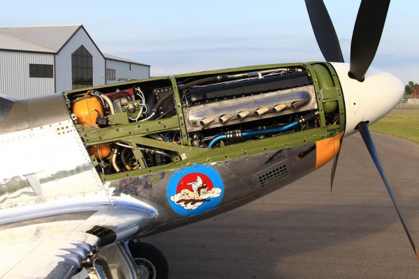 「ロールス・ロイス」を搭載したエース戦闘機、P-51マスタング取材記【名車の起源に名機あり】