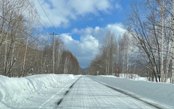 北海道の雪道は昼間、夕方、夜間と大きな表情の差を見せる。それに対応するスタッドレスタイヤを選ぶことも大切