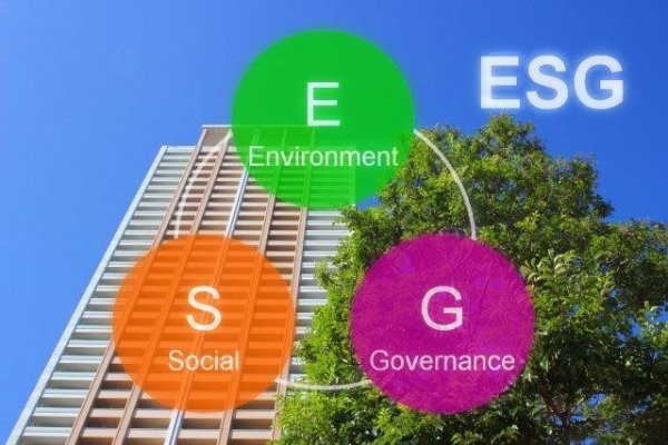 ESG（Environment、Social、Governanceの頭文字）。環境問題や社会問題、企業統治に取り組む企業等への投資のことで、軽EV投入で企業イメージアップを狙う