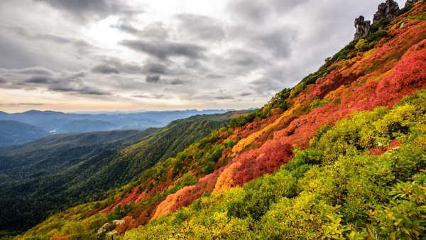 日本一早い紅葉！　大雪山黒岳は今、鮮やかな紅に染まっています