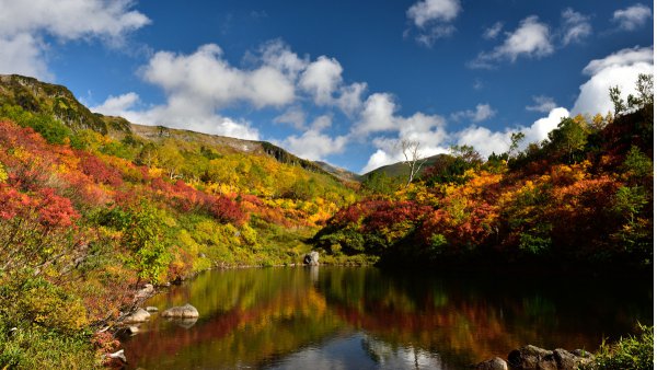 まるで色彩のカーニバル！　ヒグマ密集地帯に広がる日本一の紅葉