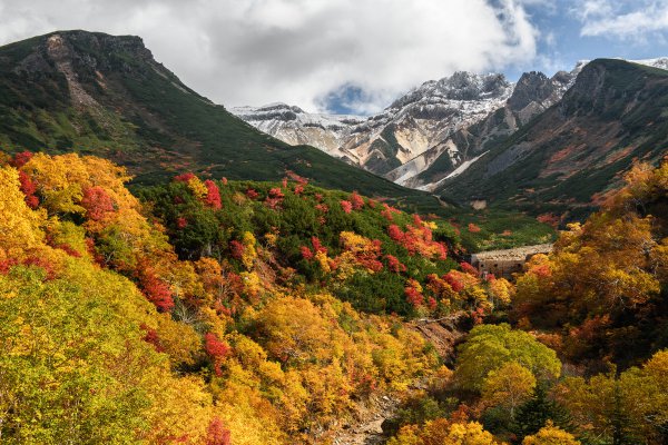 荒々しく雄大な活火山と紅葉のコラボレーション！　今が見頃の十勝岳の絶景