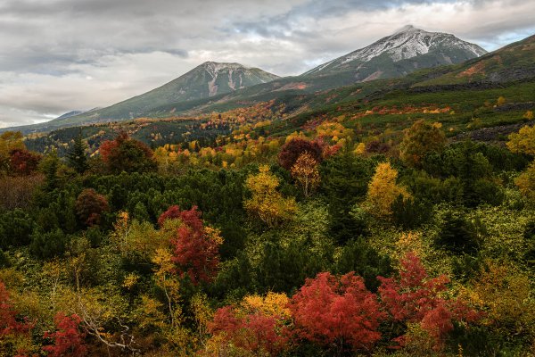 荒々しく雄大な活火山と紅葉のコラボレーション！　今が見頃の十勝岳の絶景