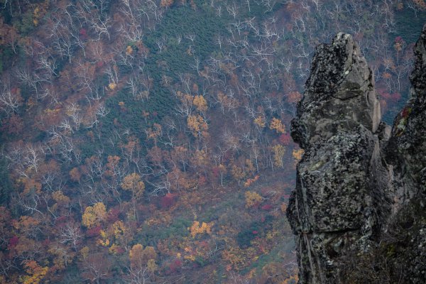 北海道の絶景ドライブルート！ 奇岩と紅葉が20km以上にわたって続く層雲峡渓谷