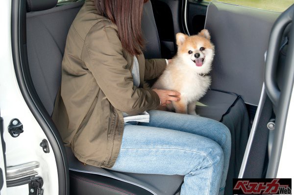 Honda Dogシリーズはさまざまなアイテムでまさに「かゆい所に手が届く」。愛犬とのライフスタイルなどに合わせて購入できるのが嬉しい