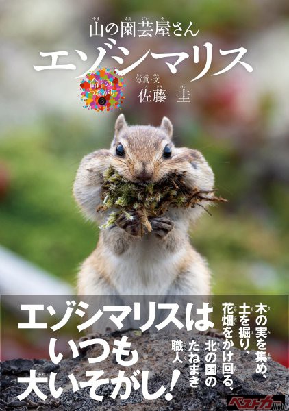 佐藤圭さんのデビュー写真集が、10月27日に発売されます。北海道大雪山系に暮らすエゾシマリスの一年を追った写真絵本です。エゾシマリスの体の特徴や子育て、独特の生態について、Q&A形式でわかりやすく紹介しています。<br>定価1,980円（本体1,800円＋10％税） 文一総合出版