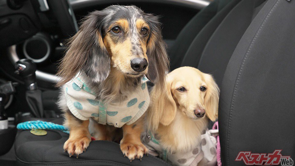 格安中古miniガチ購入体験記 買ってよかったと で人生は上向く 最終回 自動車情報誌 ベストカー 格安中古miniガチ購入体験記 買ってよかったと で人生は上向く 最終回 自動車情報誌 ベストカー