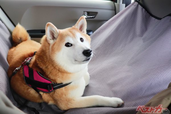 臭いクルマは恥ずかしい!! 車内のいや～な臭いをモトから断つ！ 