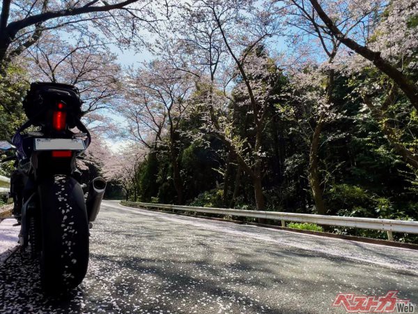バイクはクルマと全く別次元の解放感を楽しみ、日本の四季を身体で味わうことができる