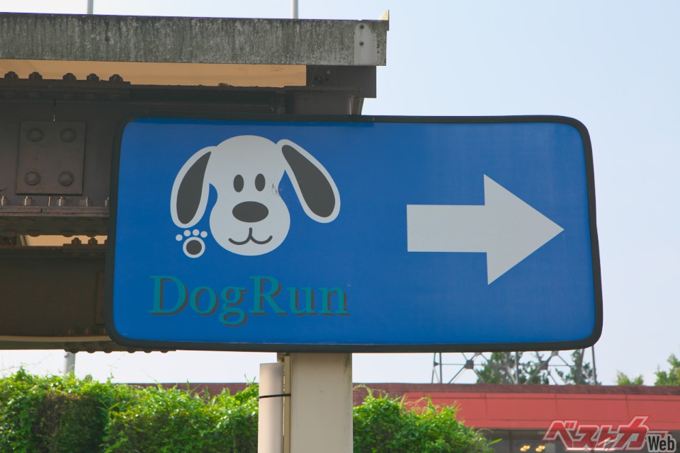 犬好きドライバー必見!中国・四国エリアの犬が喜ぶSA・PAベスト3