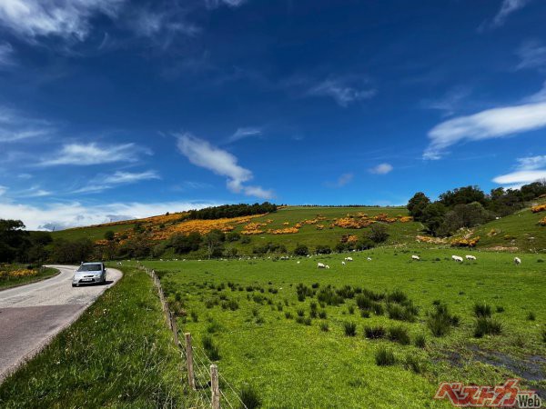 スコットランド北東部、キースの街の近くにて撮影、スコットランドでのドライブはこんな景色が楽しめる