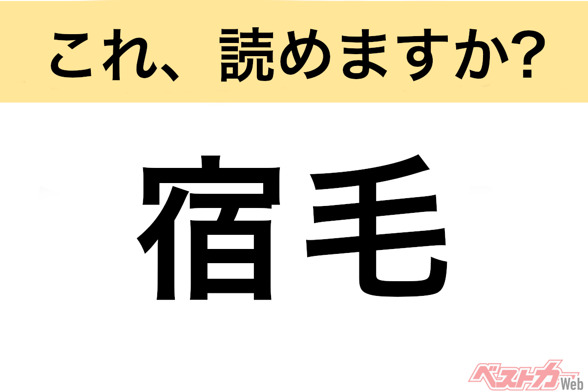 【間違えると恥ずかしい!?】これ、読めますか? 難読地名クイズ「宿毛」