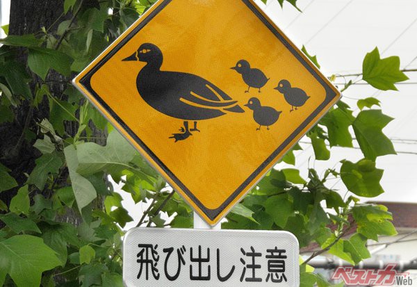 カーツ佐藤の日本映えない紀行 第10回「カルガモ注意の標識が新設された中原区」