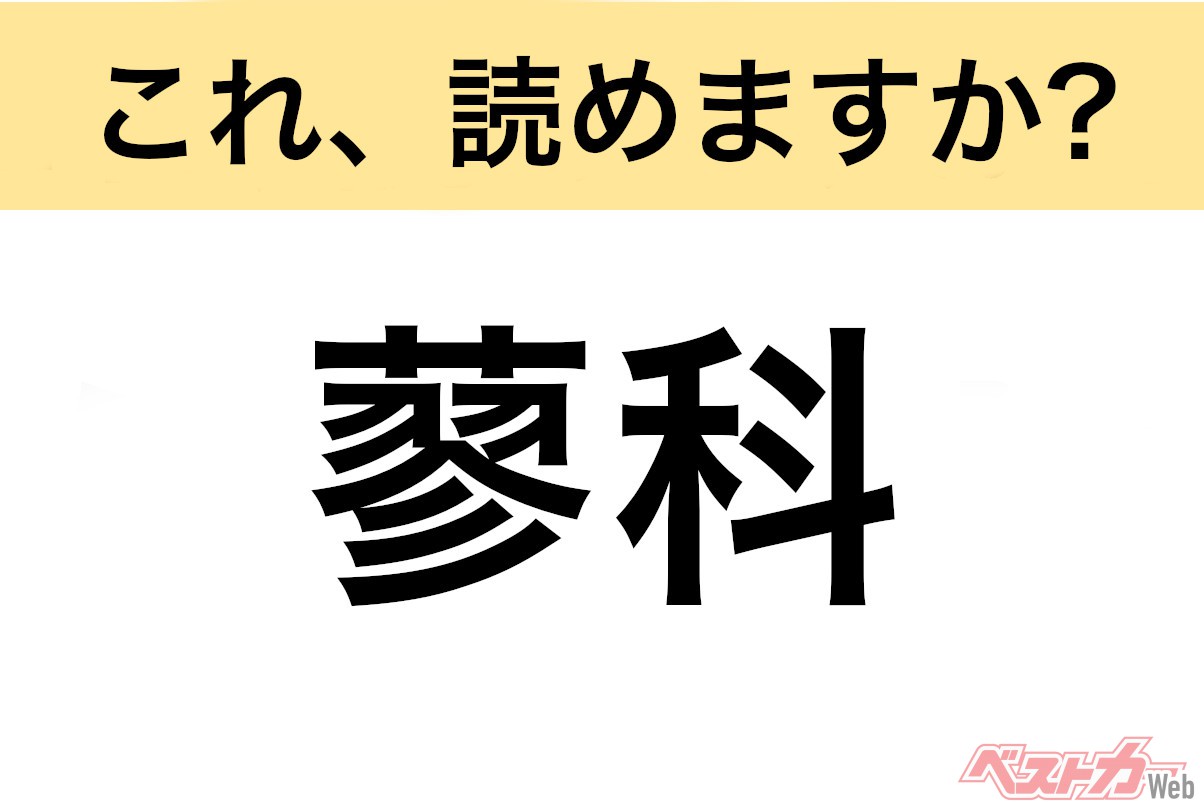 【間違えると恥ずかしい!?】これ、読めますか? 難読地名クイズ「蓼科」