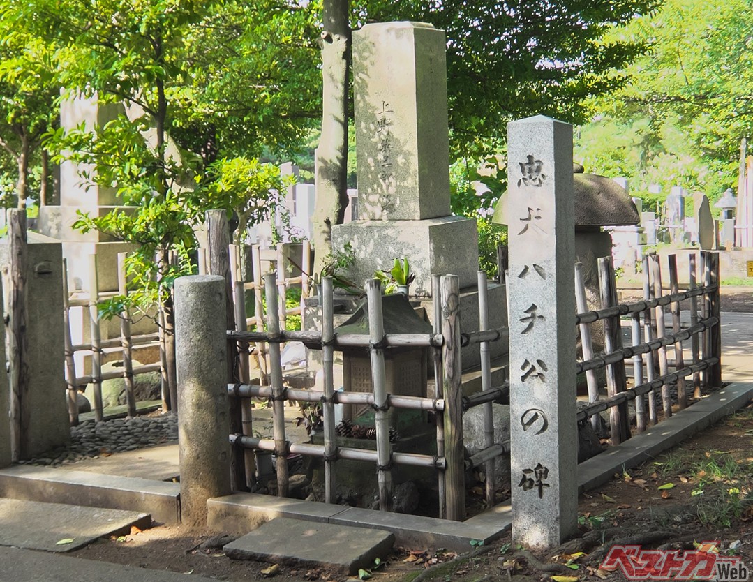 これがハチの飼い主である上野英三郎博士のお墓。横に『忠犬ハチ公の碑』と刻まれた石碑も建っております