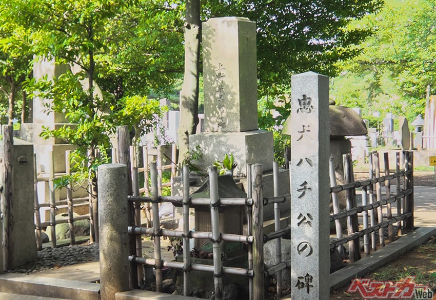 「忠犬ハチ公の墓」の前で、思わず「ハ~チィ~!!」と呟く│日本映えない紀行(東京都港区『青山霊園』内)