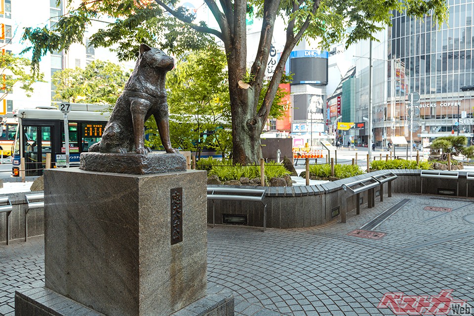 こちら、めちゃ有名な渋谷駅前の忠犬ハチ公像。でも今回の主役はこちらじゃない（Takeru@Adobestock）