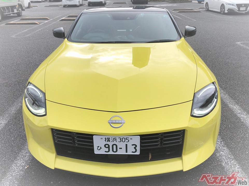 ちょっと間抜けに見えるこの顔、愛嬌がある!