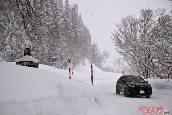 新たに雪が降り積もり、路面は完全な圧雪路となっていた蔵王周辺