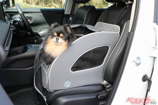 愛犬とのドライブに絶対便利なホンダアクセスの「ペットシートプラスわん2」。愛犬も満足そう