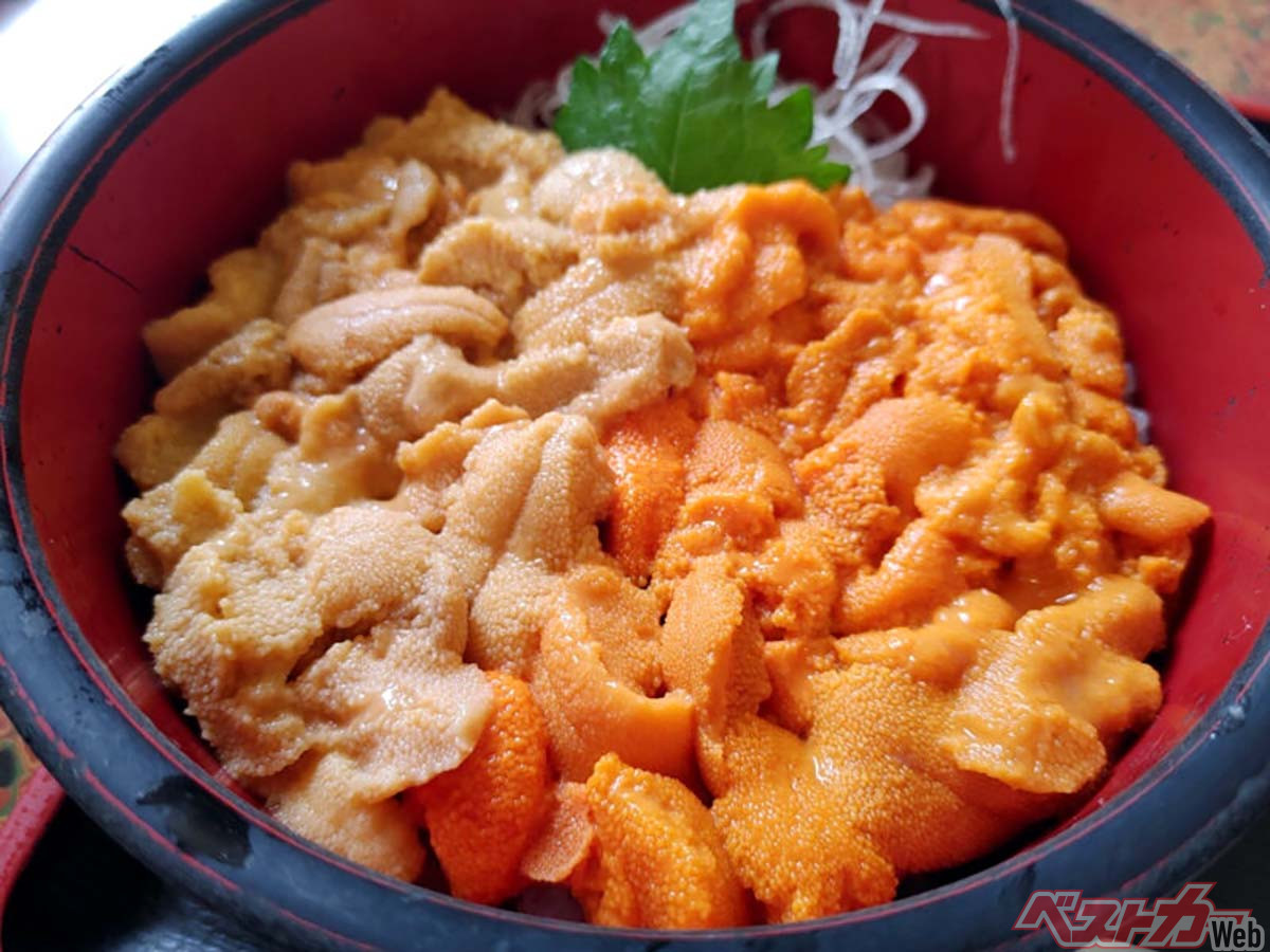 ここはウニの桃源郷や～！マニアが集まる積丹で新鮮な「生ウニ丼」を食べる旅 - 自動車情報誌「ベストカー」