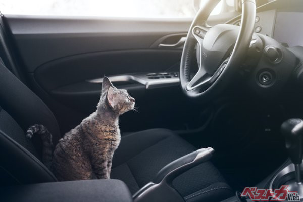 (PHOTO:adobe stock_veera)