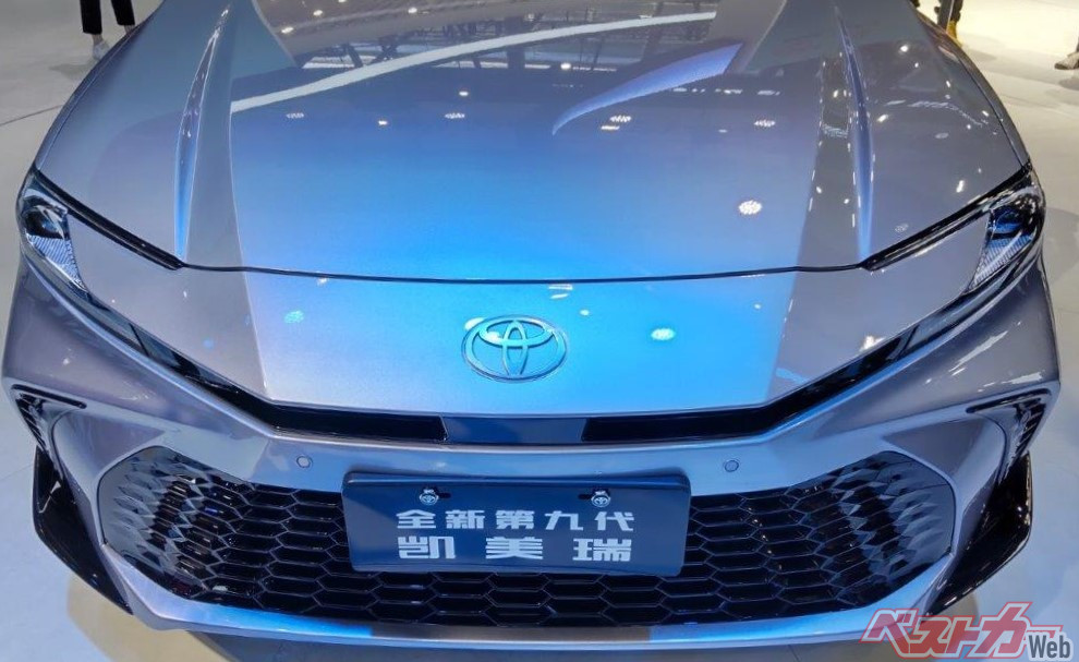 DSC_2543.jpg?v=1712624556