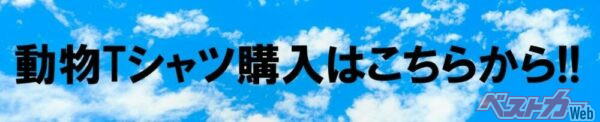 <strong>▲ご購入する際はこちらをクリックしてください</strong>