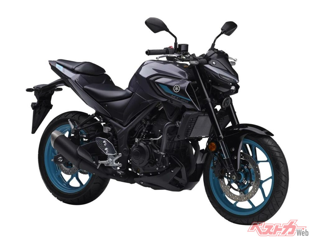 2024_yamaha_mt-25_001b