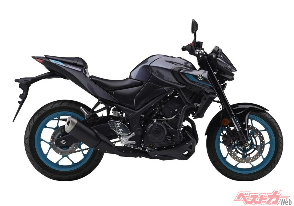 2024_yamaha_mt-25_002