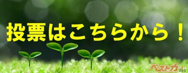 ▲「ベストカー クルマ総選挙 軽自動車編2024」への投票はここをクリックするだけです!!