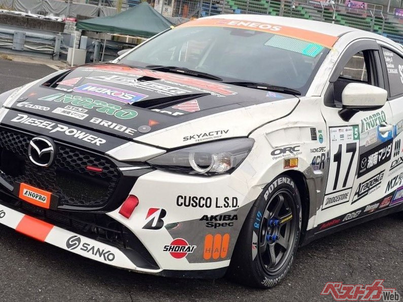 IMG_8302main.jpg?v=1730275982