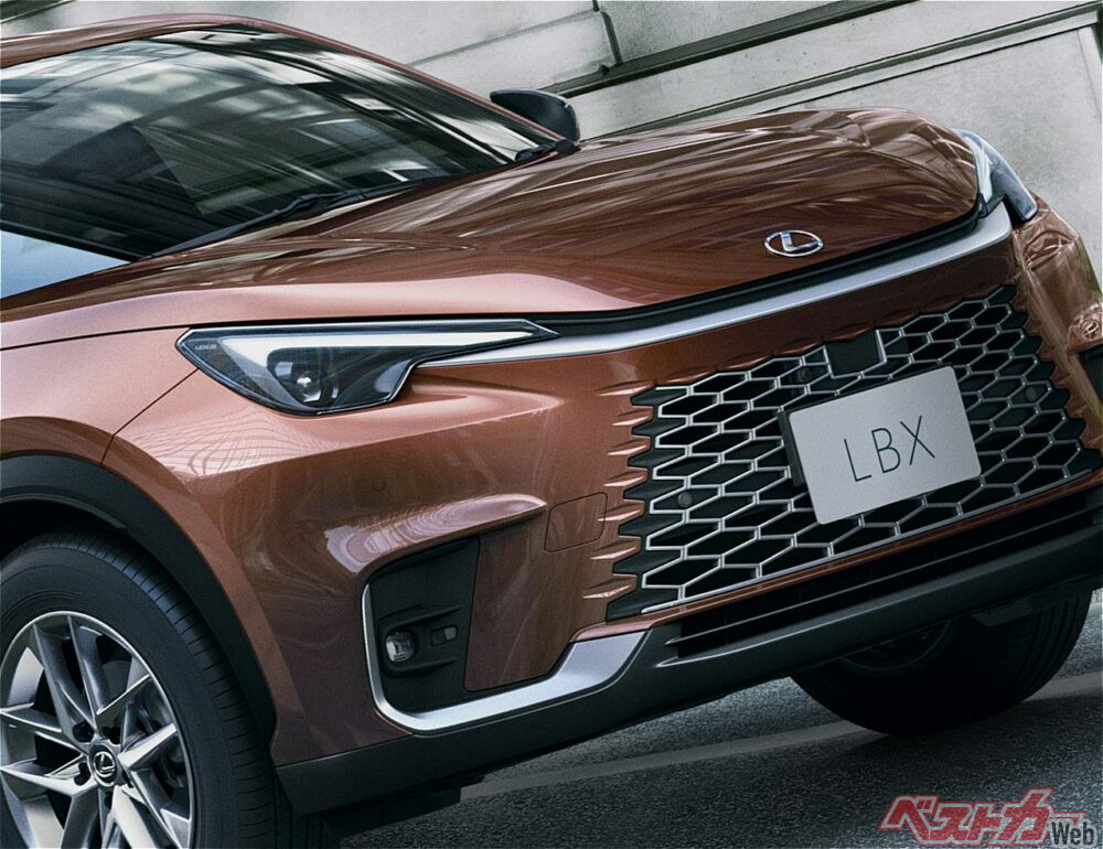 s-20241031_01_01B.jpg?v=1730882391