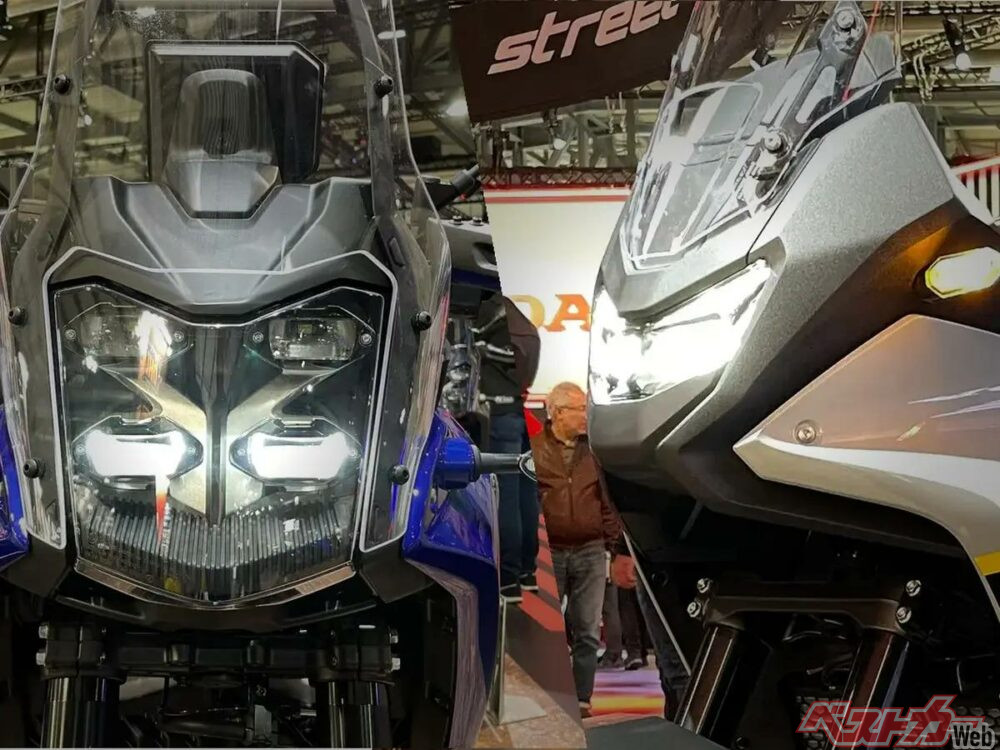 IMG_6500_2024-11-19-17-01-