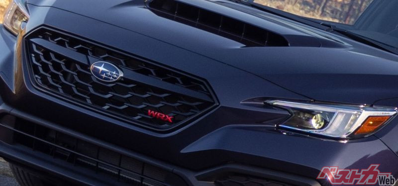 こりゃヤベェ!!!! セクシーパープルの色気にドキドキ