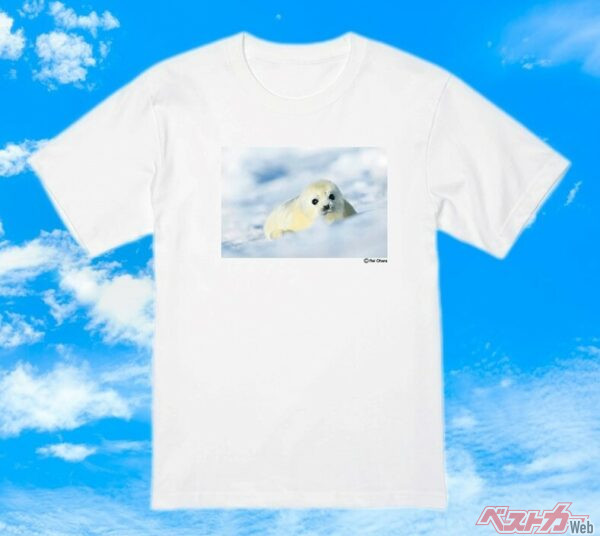 BC Mate限定の「アザラシの赤ちゃんTシャツ」