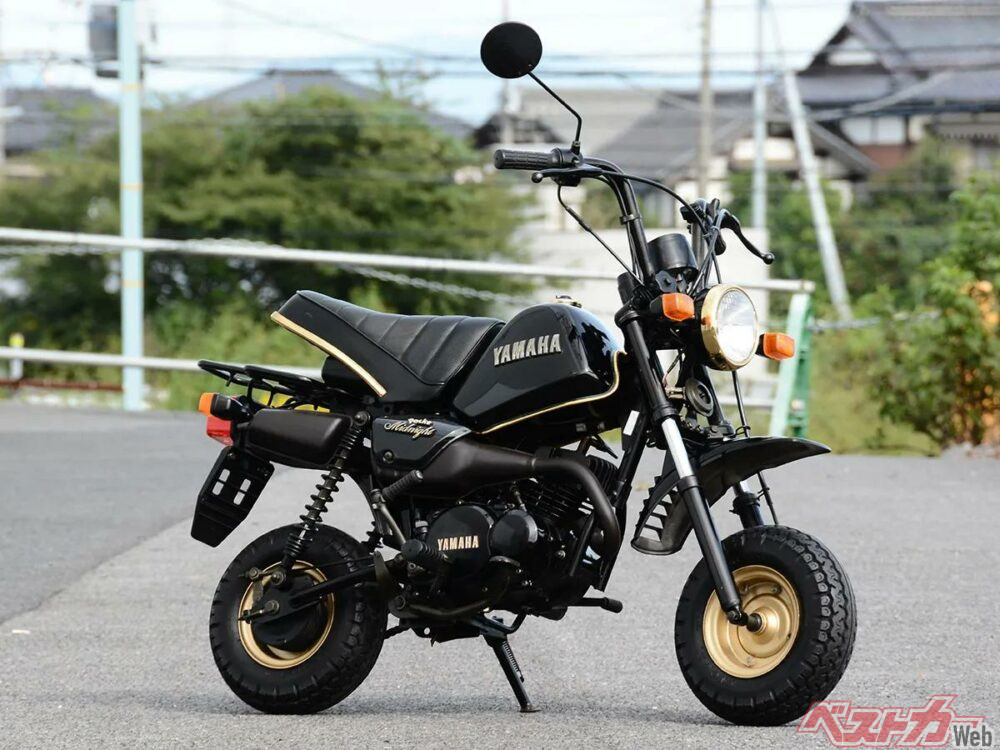 ミニレジャーバイクブームの中、ポッケに設定されたレアな