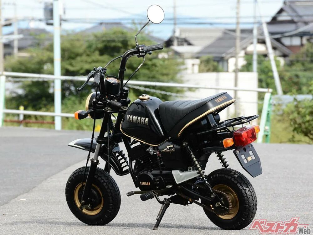 ミニレジャーバイクブームの中、ポッケに設定されたレアな