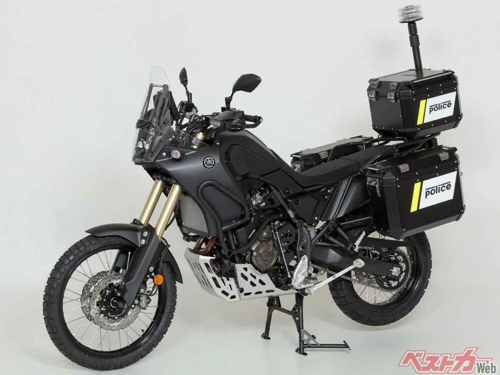 tnr-700-ch-authorities_2025-02-06 18-20-44