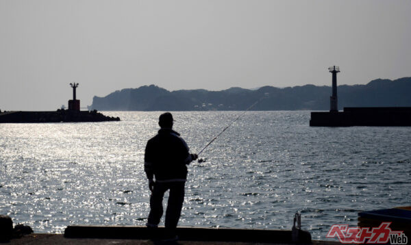 バスもシーバス(スズキ)も、すぐ食いつきますよ~!