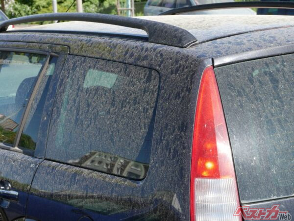 花粉の汚れは非常に厄介で洗車してもキリがない