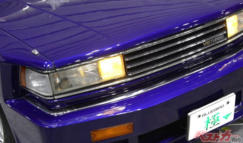 IMG_5944.jpg?v=1740984327