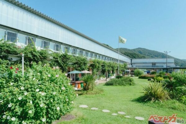 道の駅も同キャンペーンの対象となる（写真は廃校した小学校校舎を再利用している「道の駅　保田小学校」）