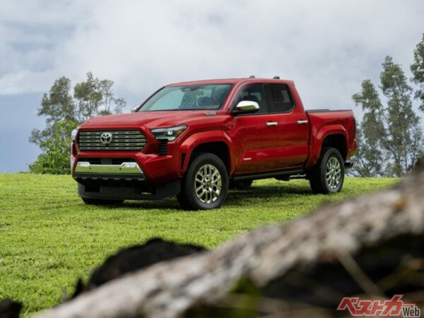 トヨタが1990年代から北米向けに生産しているピックアップトラックのタコマ。現在は4代目に進化し、信頼性の高さなどから以前人気を集めている。