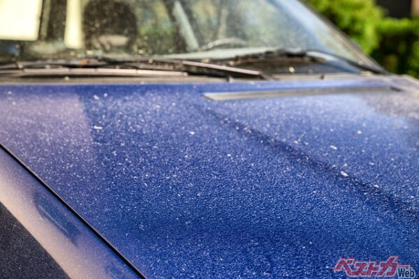 花粉のシミ落としは待った方がラク!?　春の汚れは夏に消えてなくなるかも？