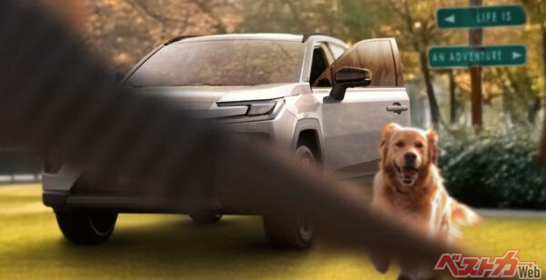 こちらが標準グレードと見られるモデル