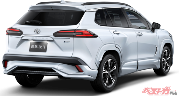 リアエアロの中央にもシマシマ模様が!!!!